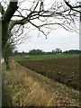 Farmland at the Berwick House Estate