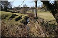 Stream near Birchley