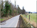 Road alongside Scruton Park