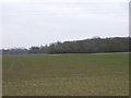 Farmland and woodland south of Chalgrove