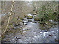 Afon Hirnant at Rhos-y-Gwalia