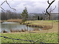 Pond : Ravensworth  Nurseries