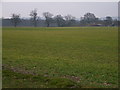 Farmland and Knightsbridge Farm