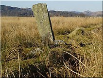 NR8094 : Stone near Crinan Ferry by Eileen Henderson