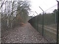 Footpath East of Longcross Station