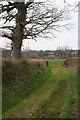 Plymtree: field access track