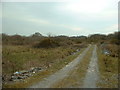 Scrubland near Rhostryfan