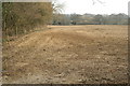 Farmland north of Fairbourne Lake