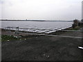 Electric Gate and Plastic Field