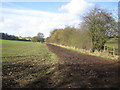 Flamstead: Bridleway between Delmerend Lane and Trowley Bottom