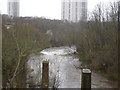 River Kelvin from Forth and Clyde aqueduct