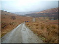NN3421 : West Highland Way in Glen Falloch by Chris Wimbush