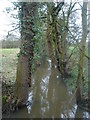 Mill Brook where Broadoak Lane meets Harrison Lane