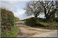 SX0856 : Entrance Road to a Farm by Tony Atkin