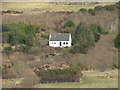 Cottage Amongst The Trees