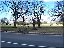 NY4636 : Hutton in the Forest Parkland by John Holmes