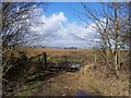 Gate onto Hyles Moor