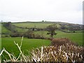 East of Baddaford - South Devon