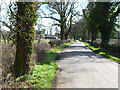 Country road near Langton Hall