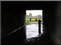 Motorway underpass (flooded most of the year)