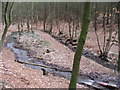 Beck at New Miller Dam Country Park.