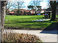 Spring flowers on the village green, Ainderby Steeple