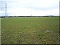 Waterlogged farmland.