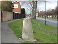 Triangulation Pillar, In Boucher Dr, Gravesend