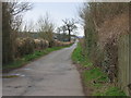 Lane leading to Chesterton Farm Cirencester