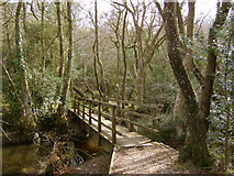SU3604 : Footbridge over Shepton Water near Honey Hill, New Forest by Jim Champion