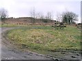 Picnic area west of Taliaris Forest