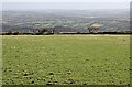 High Pasture on the Eastern Slope of Carn Marth