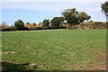 Pastureland near Sunny Corner