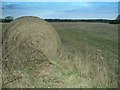 Lonely Hay Bale