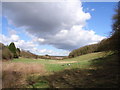 A Chiltern valley, near Haleacre Farm