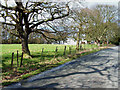 Back road from New Brancepeth to Esh Winning