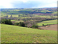 Valley of the River Browney