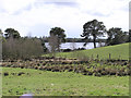 H5776 : Loughmacrory Lough by Kenneth  Allen
