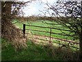 Gateway near Hamnish