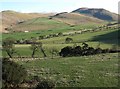 Upper Kilham valley