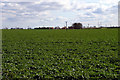 Looking towards Frogmore Farm