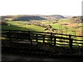 Rolling Herefordshire Countryside