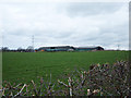 Froglane Farm near Pickmere