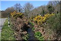 Stream by the Road near Wheal Prosper Farm