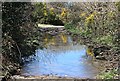 Flooded Bridleway