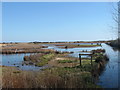 Lodmoor Nature Reserve