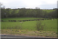 Farmland near Six Hills