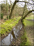 SU3309 : Drainage ditch alongside the Churchplace Inclosure, New Forest by Jim Champion
