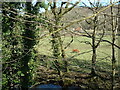 Farmland near Llanbedr