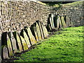 Priory Wall, Guisborough Church